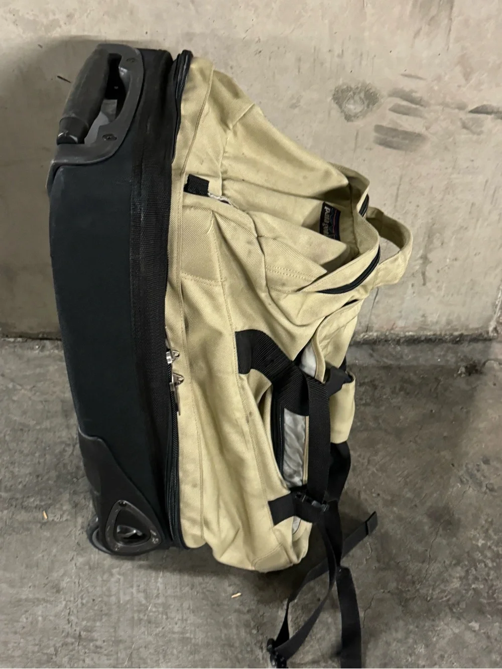Patagonia Canvas Travel Carry on Luggage